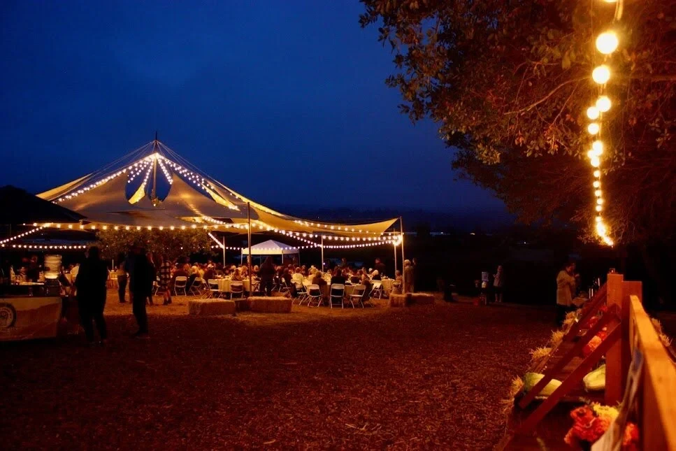 Live Earth Food & Farm Festival